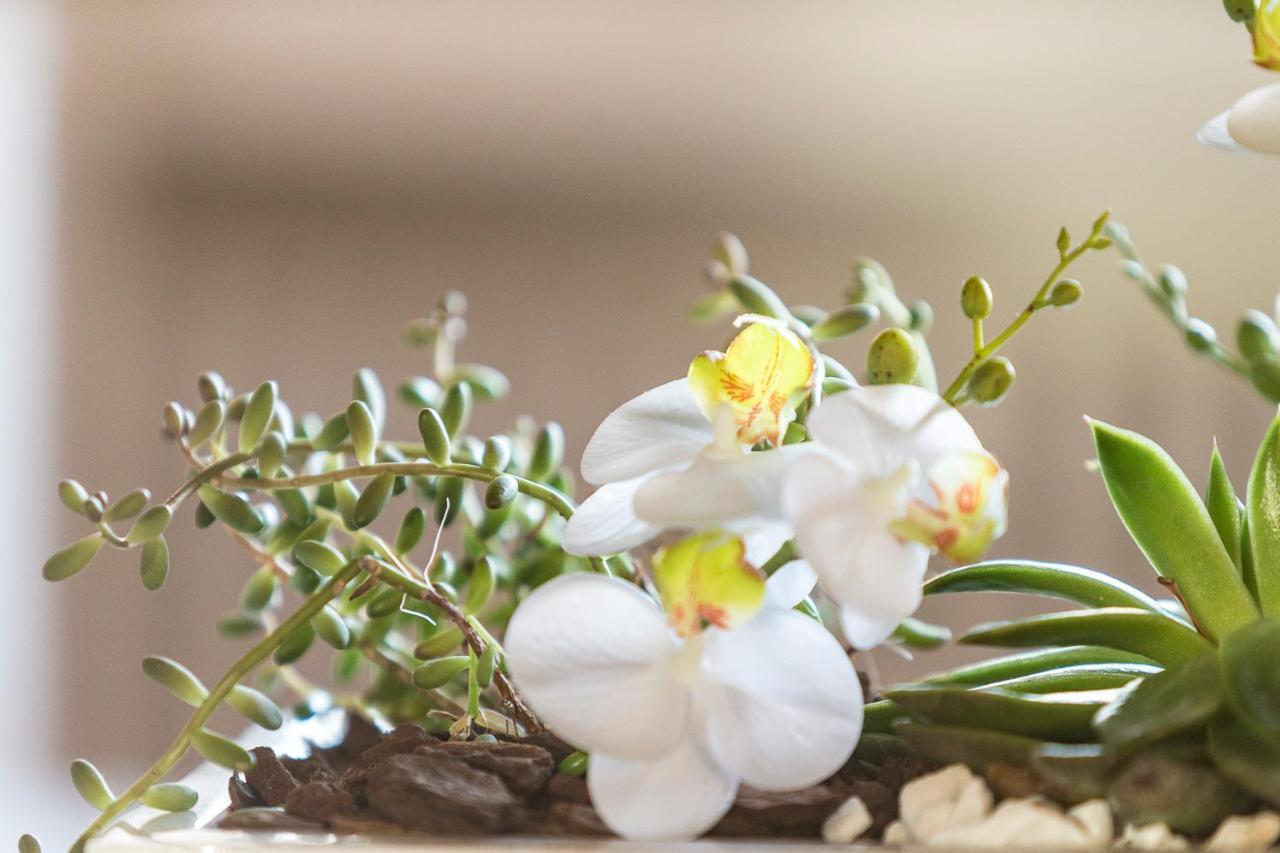 Villa Orselina - Small Luxury Hotel Muralto Luaran gambar